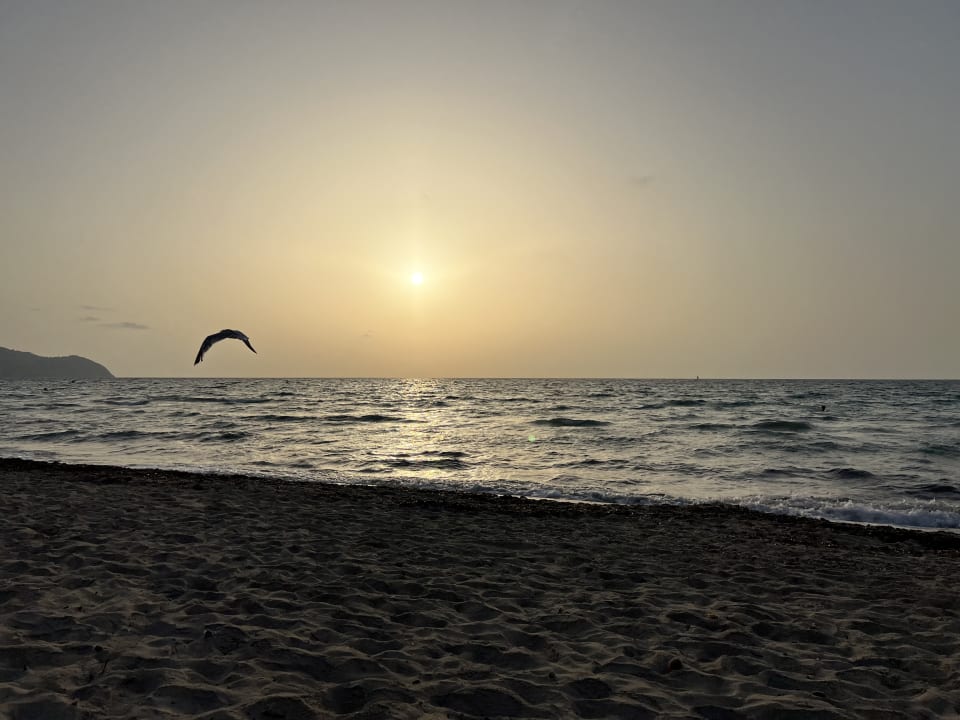 Strand CM Playa del Moro
