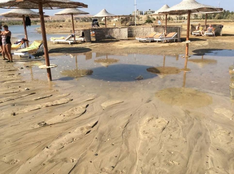 Hotelstrand Three Corners Equinox Beach Resort