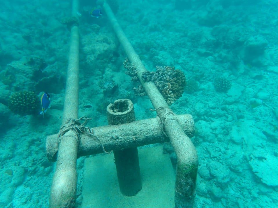 Sport & Freizeit Angaga Island Resort