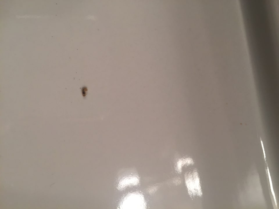 Zimmer Berghotel Dachstein