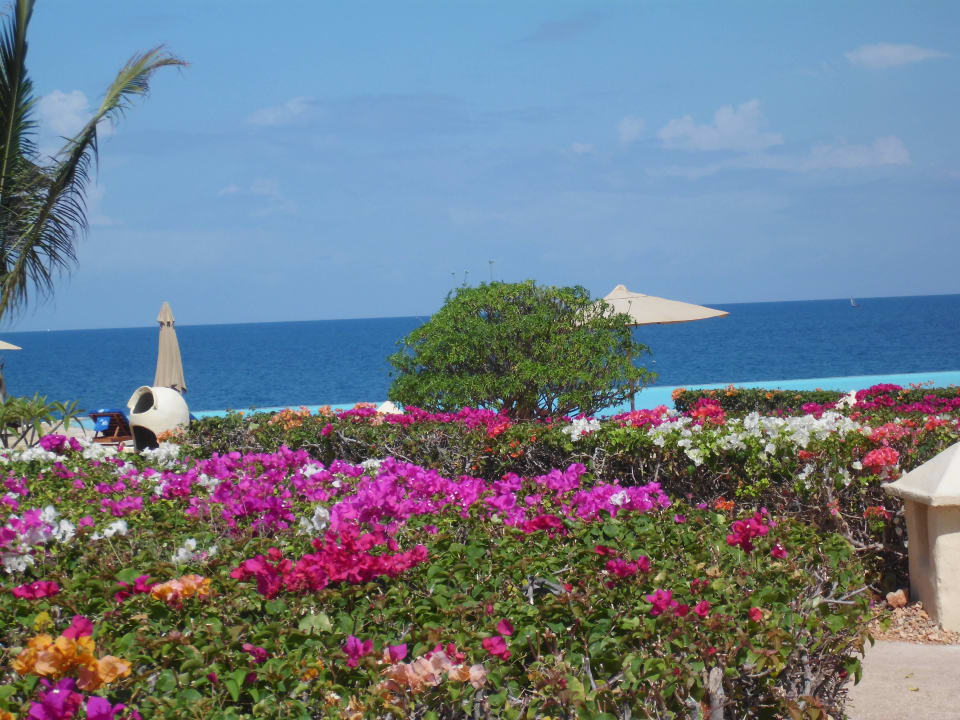 Blick vom Garten zum Strand Royal Zanzibar Beach Resort