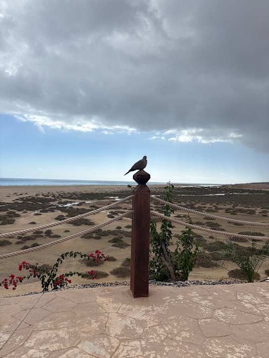 Ausblick Paradisus by Meliá Fuerteventura