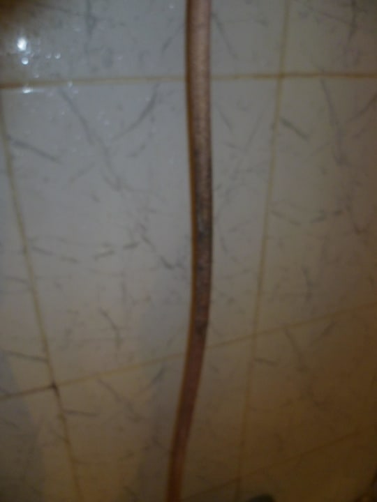 Duschschlauch - gehört ausgetauscht Houda Golf & Beach Club