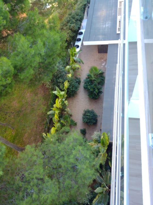 Gartenanlage Hotel Riu Festival