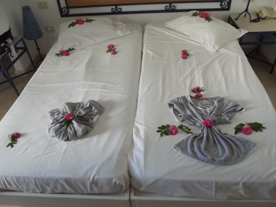 So schön sah unser Zimmer jeden Tag aus  TUI BLUE Palm Beach Hammamet