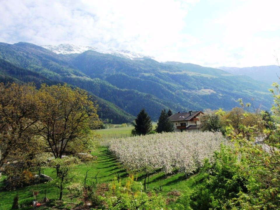 Berge und Apfelblüte Genusshotel Stefanshof - Fine Living