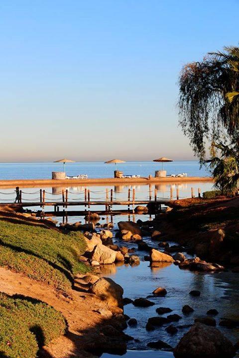 Bach und Lagune mit Rotem Meer Mövenpick Resort & Spa El Gouna