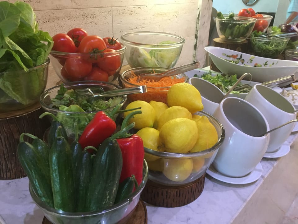 Gastro Acanthus Cennet Barut Collection