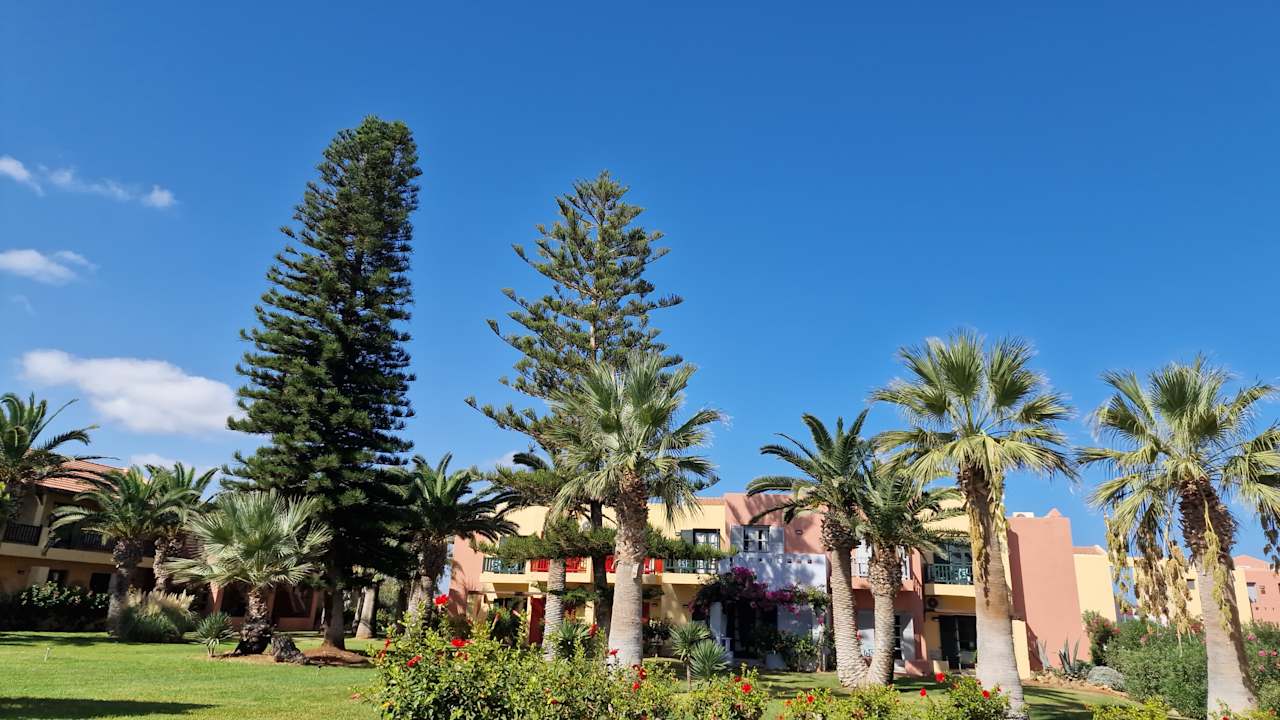 Gartenanlage allsun Hotel Zorbas Village