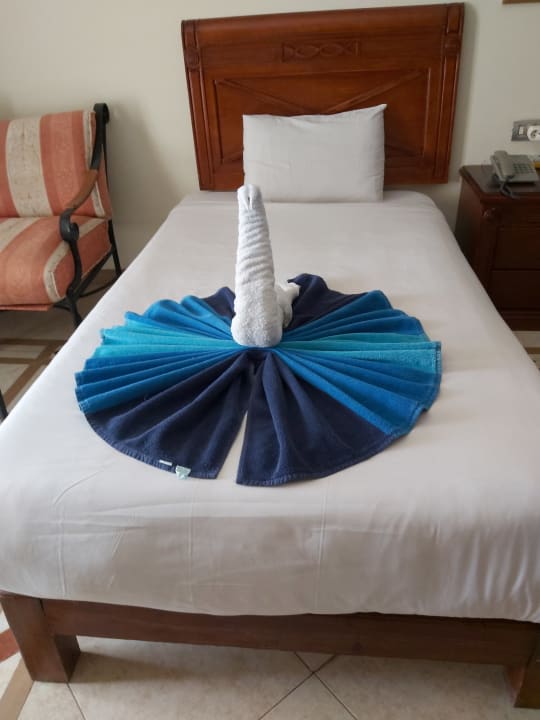 Zimmer Imperial Shams Abu Soma