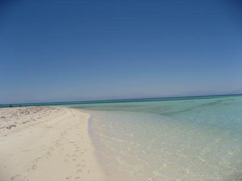 Strand Palm Beach Resort