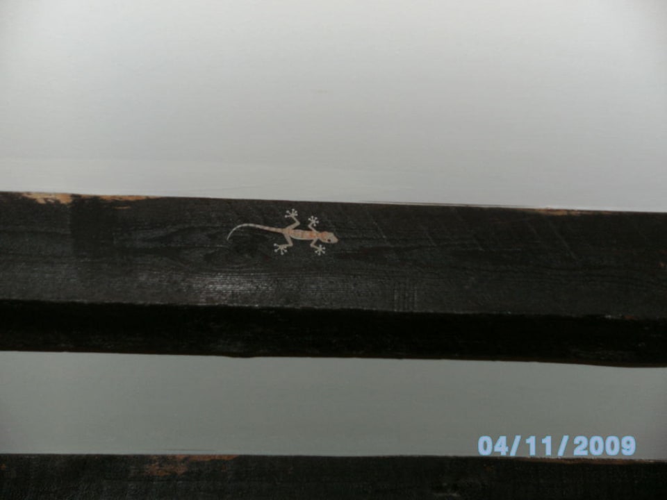 Unser Haustier Grand Makadi