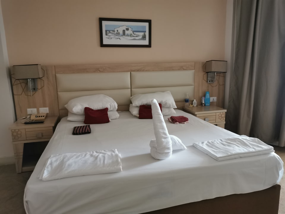 Zimmer Beach Albatros Resort