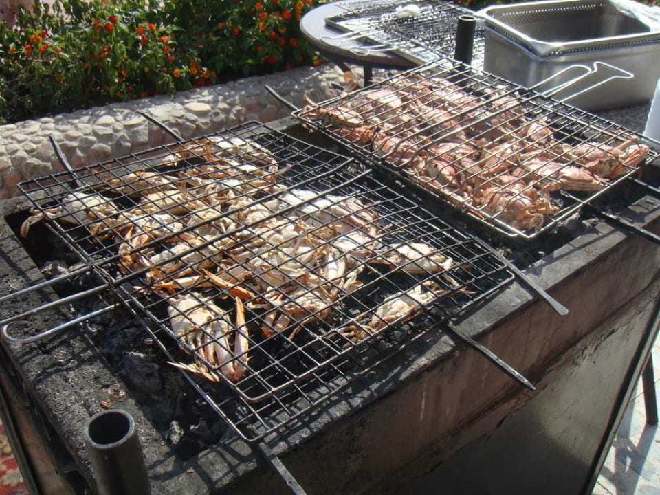 Frisch gegrillt Pickalbatros Alf Leila Wa Leila Resort - Neverland Hurghada