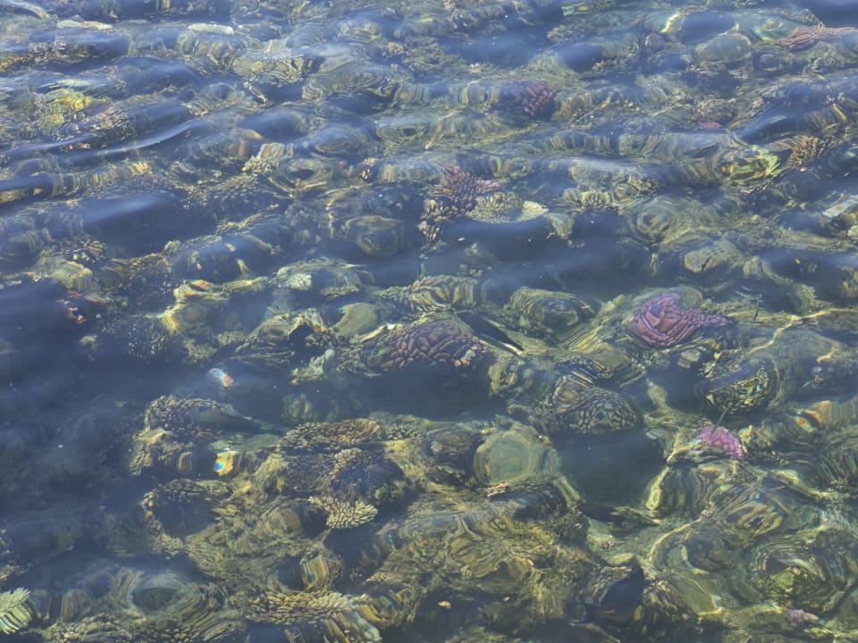 Strand Casa Mare Resort