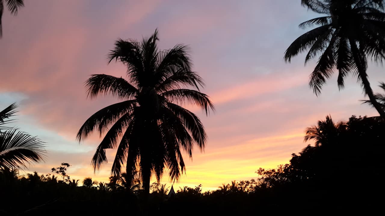 Gartenanlage Woodlawn Villas Koh Tao