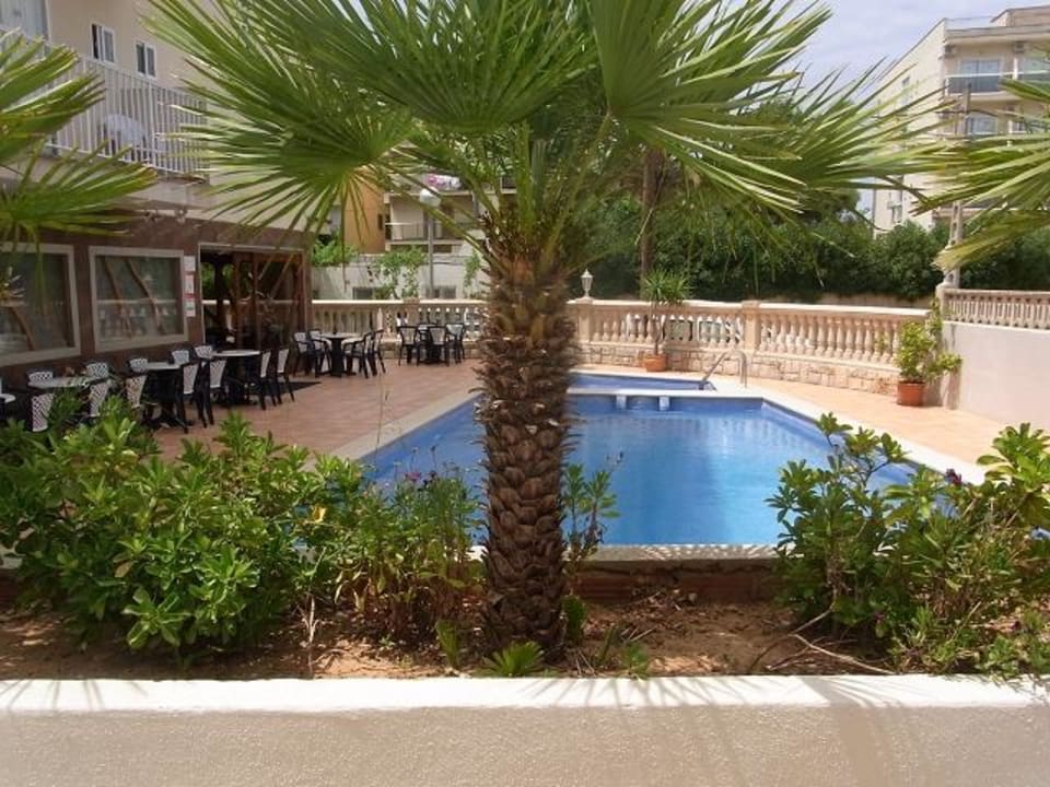 Pool Hotel Selva Arenal