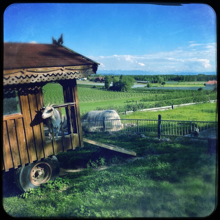 Ausblick Ferienhof Schmid