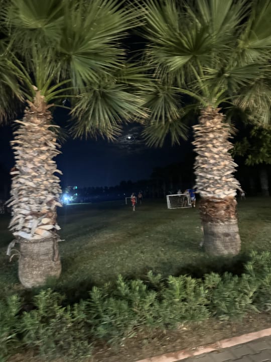 Außenansicht Selectum Family Resort Side