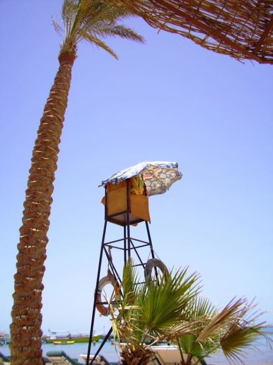 Bademeister  Giftun Azur Resort