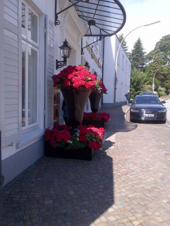 Blumen beim Eingang Hotel Louis C. Jacob