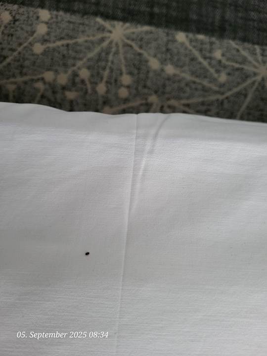 Zimmer Residence Vaal