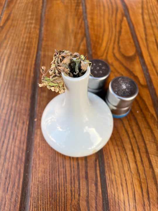 Gastro Ghazala Gardens