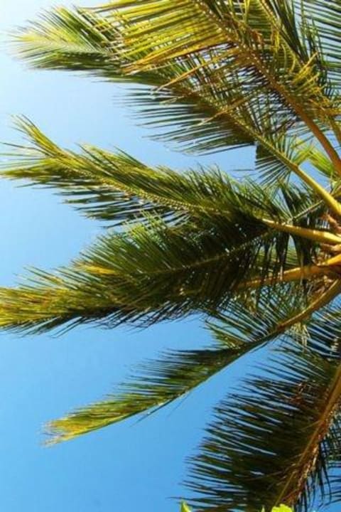 lti Xanthe Resort & Spa TUI BLUE Xanthe