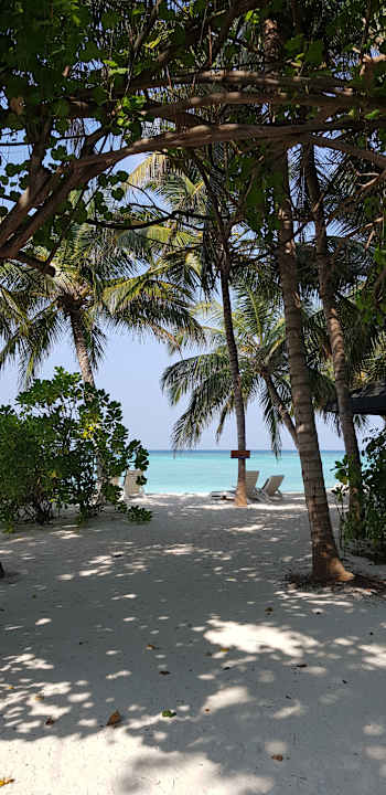 Strand Summer Island Maldives
