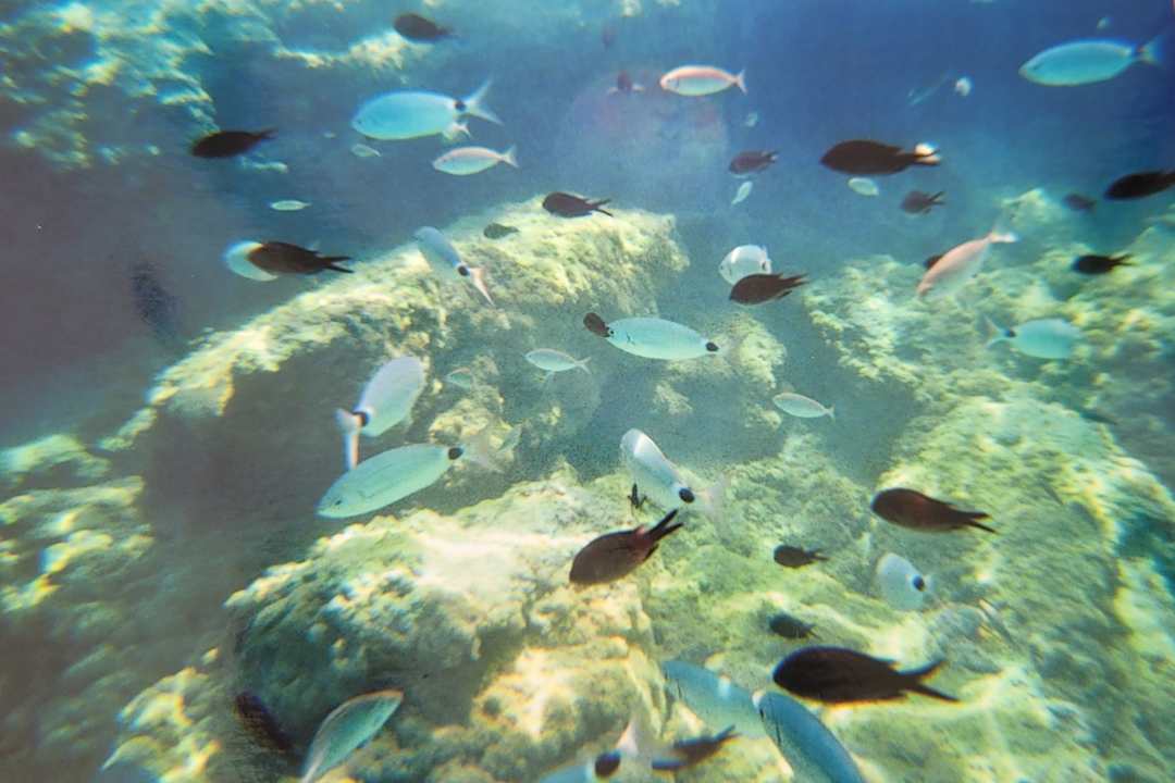 Strand Crystal Springs Beach Hotel