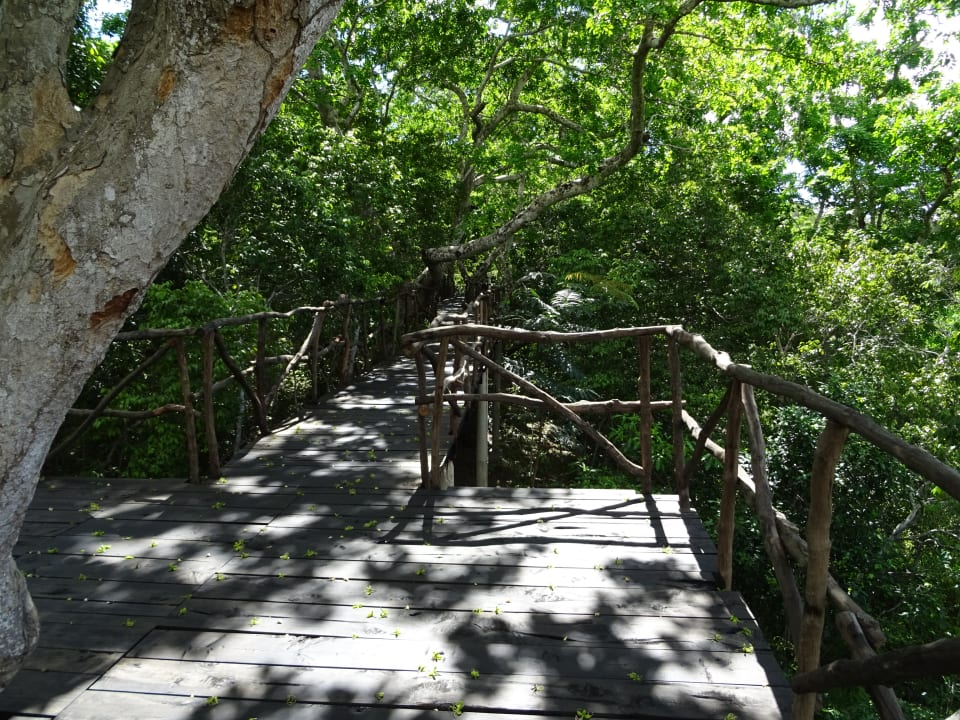 Gartenanlage Shimba Hills Lodge