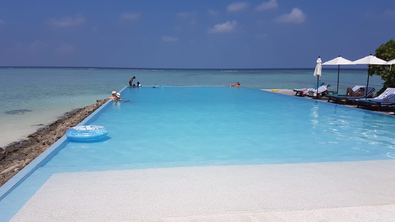 Pool Summer Island Maldives