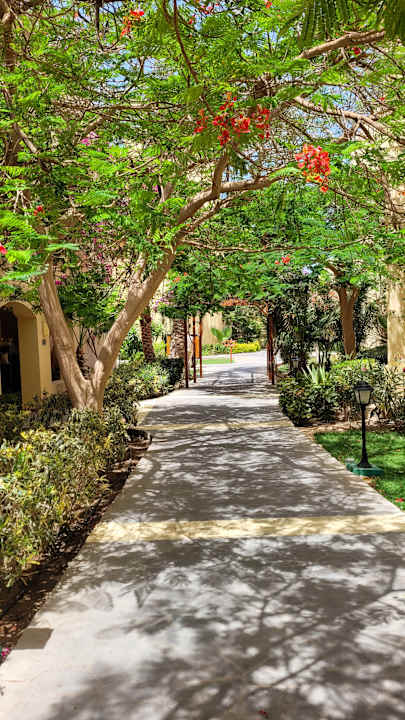 Gartenanlage Steigenberger Coraya Beach - Adults only