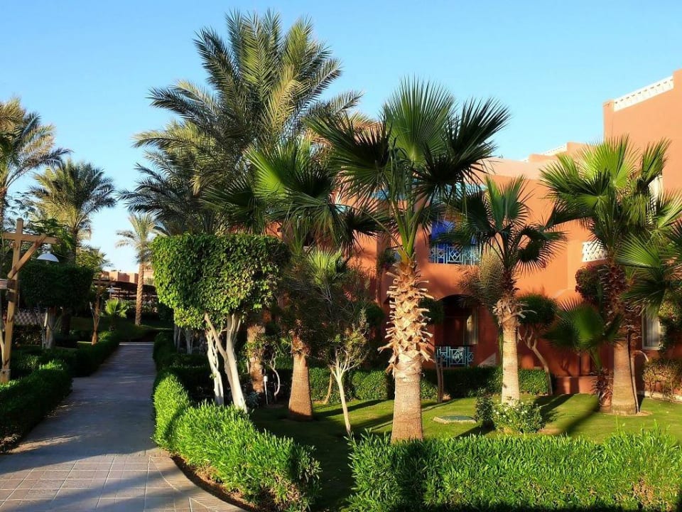 Garten TUI MAGIC LIFE Redsina Sharm El Sheikh