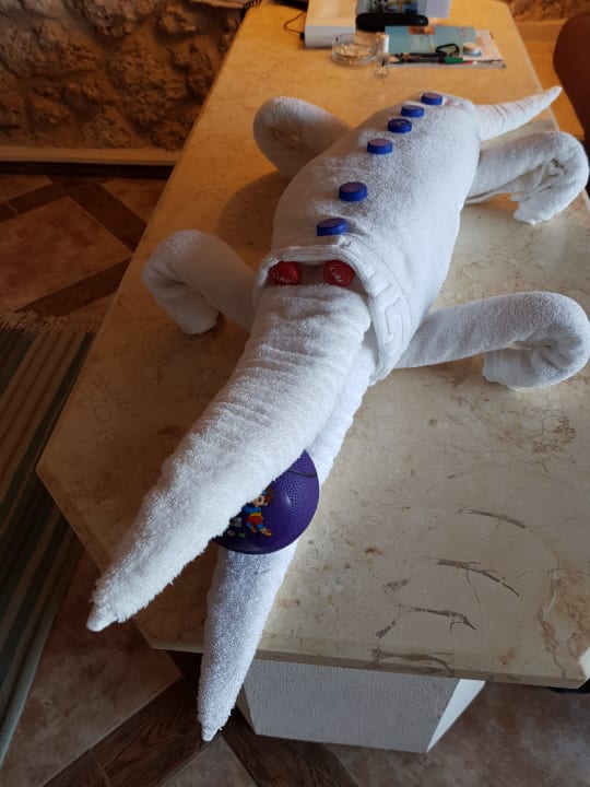 Zimmer Pickalbatros Citadel Resort