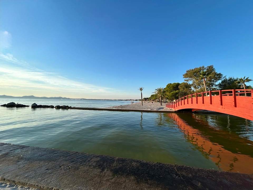 Strand allsun App.-Hotel Orquidea Playa