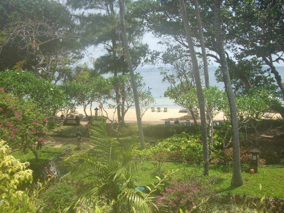 Blick auf Garten und Strand Hyatt Regency Bali