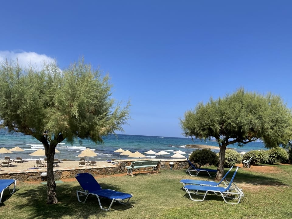 Gartenanlage Calimera Sirens Beach