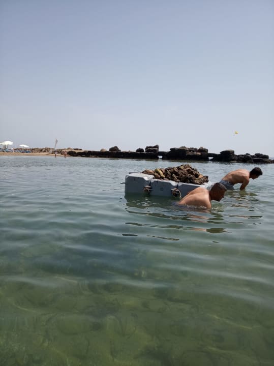 Strand Numa Bay Exclusive Hotel