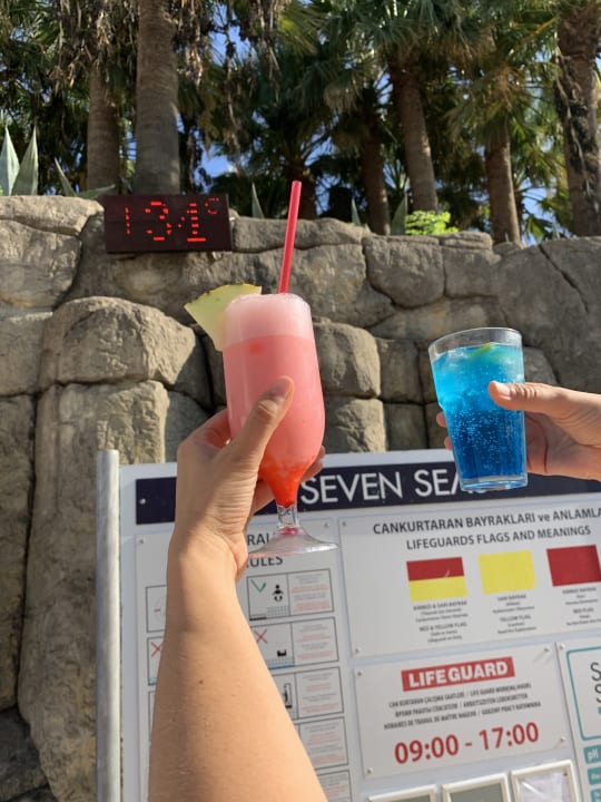 Pool Monachus Family Resort Sorgun