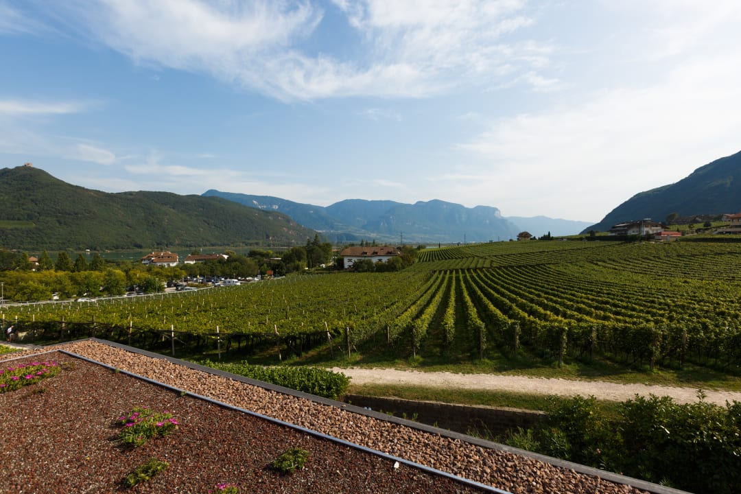 Ausblick Hotel Thalhof am See
