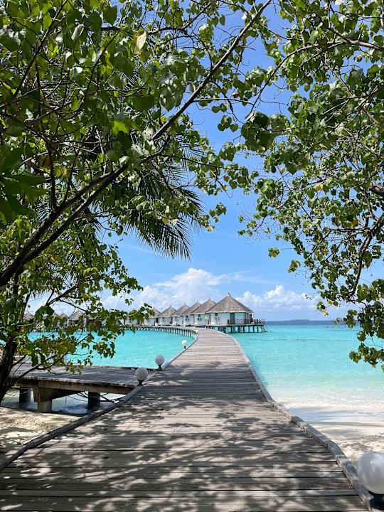 Zimmer Safari Island Maldives