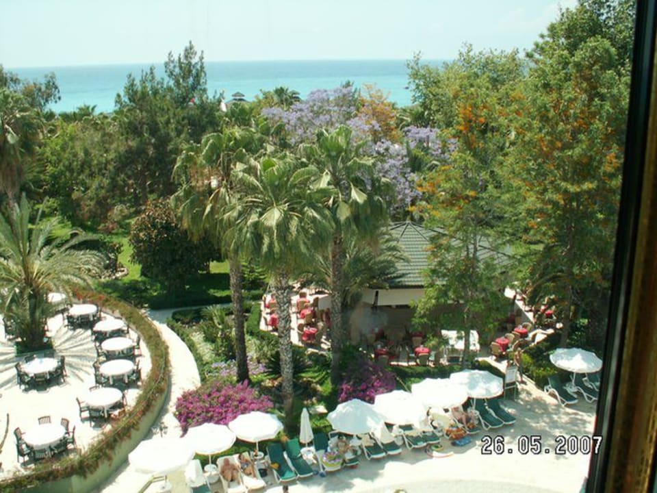 Widok z windy Botanik Hotel & Resort