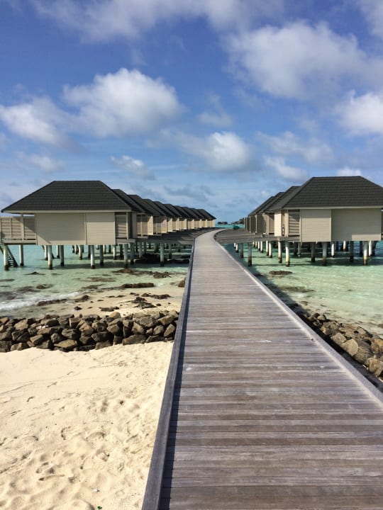 Strand Summer Island Maldives