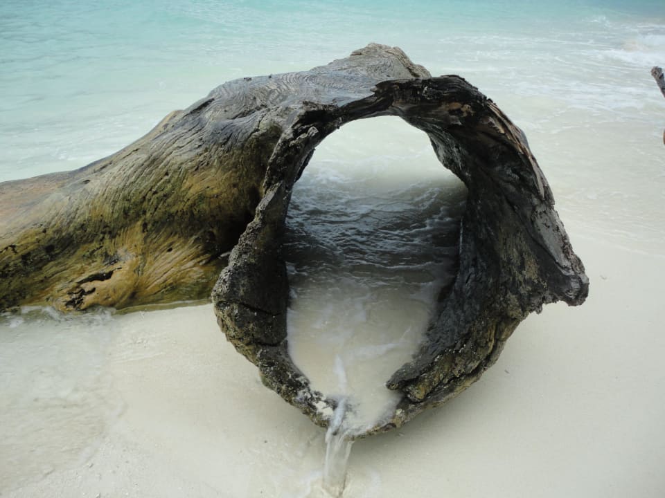 Angeschwemmt Kuredu Island Resort & Spa