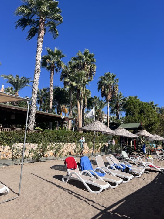 Strand Arycanda Kirman Premium