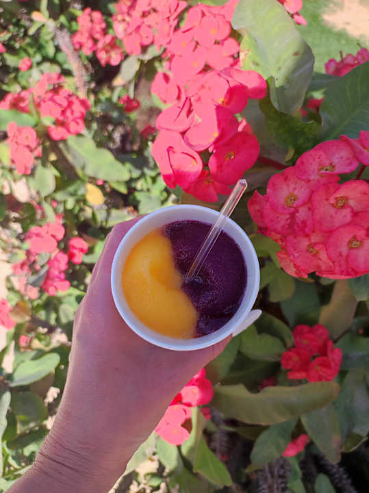 Gastro Seagull Beach Resort