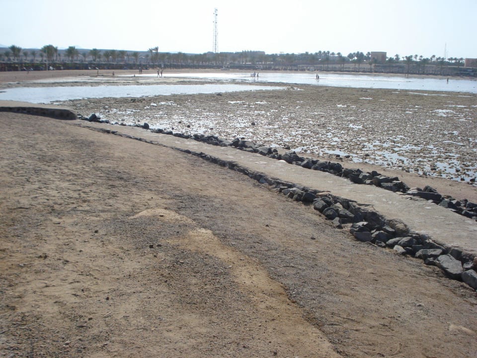 Ebbe und Flut Jaz Dar EL Madina