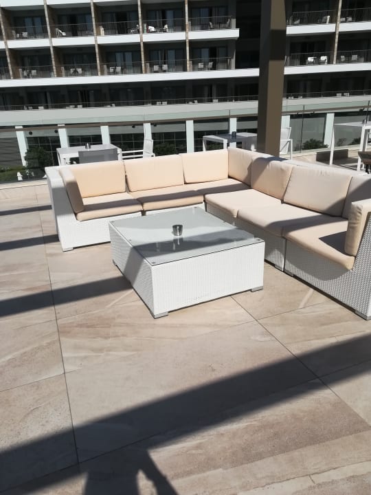 Gastro Acanthus Cennet Barut Collection