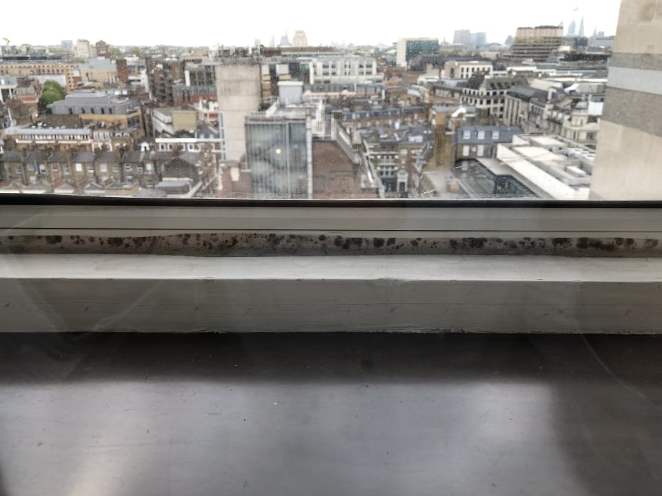 Zimmer Treehouse Hotel London